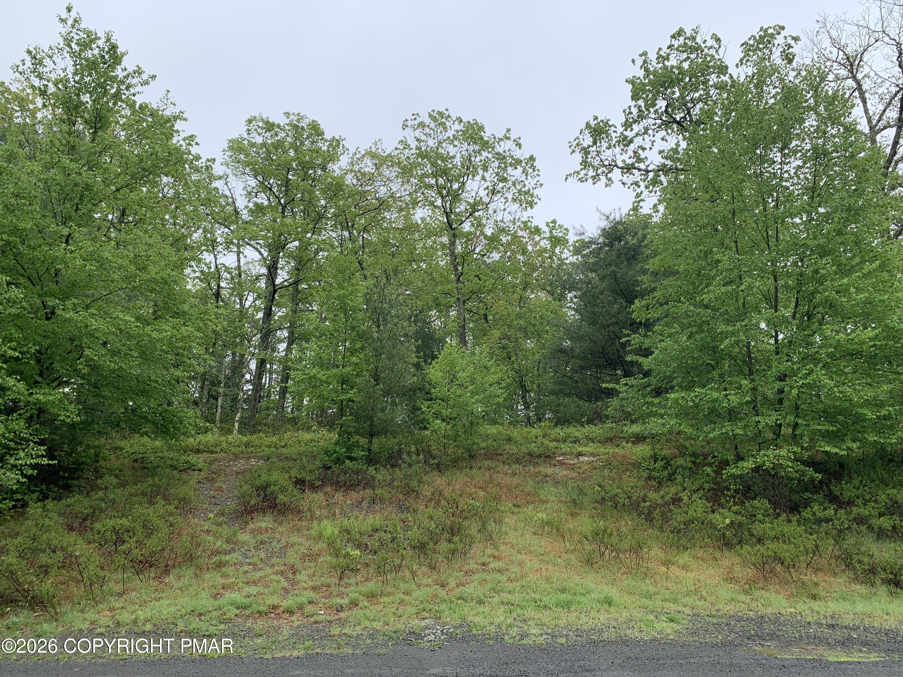 266 Fox Road Property Photo 5