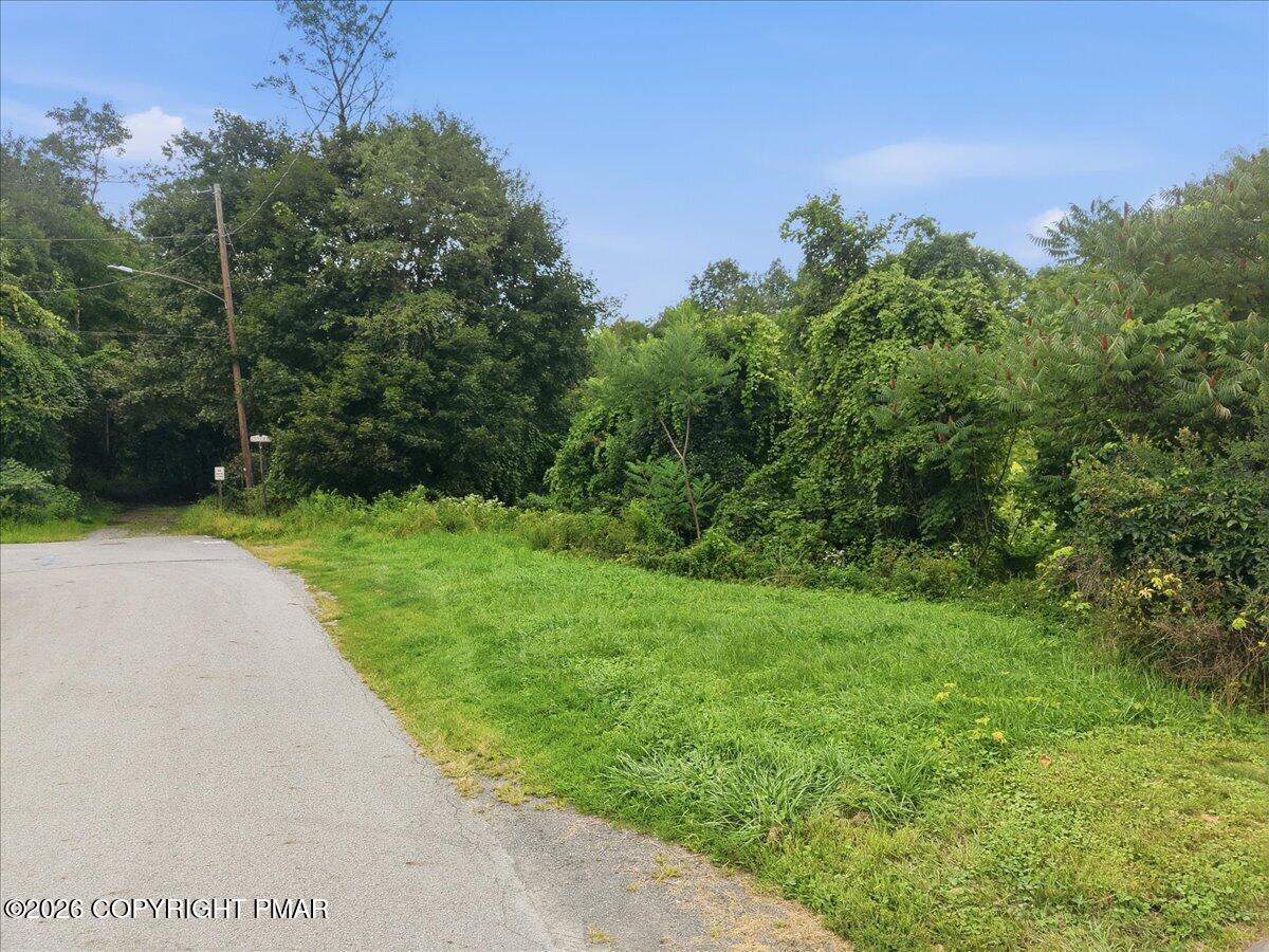 205 Maple Avenue Property Photo 70
