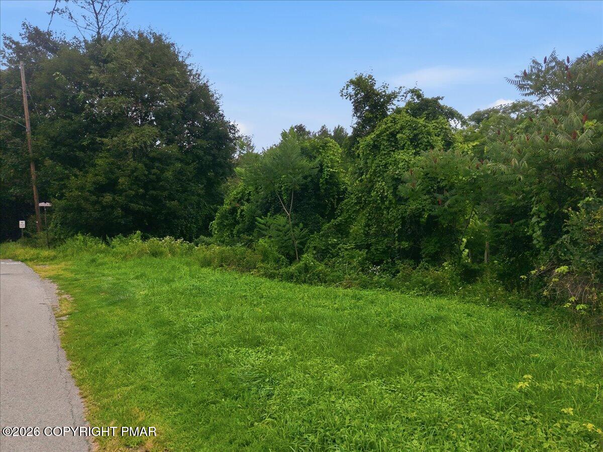 205 Maple Avenue Property Photo 71