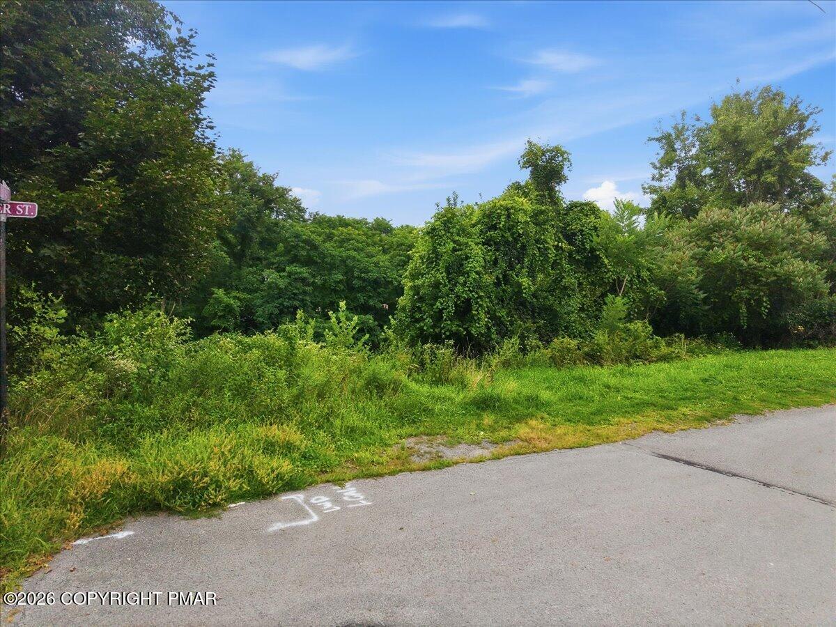 205 Maple Avenue Property Photo 74