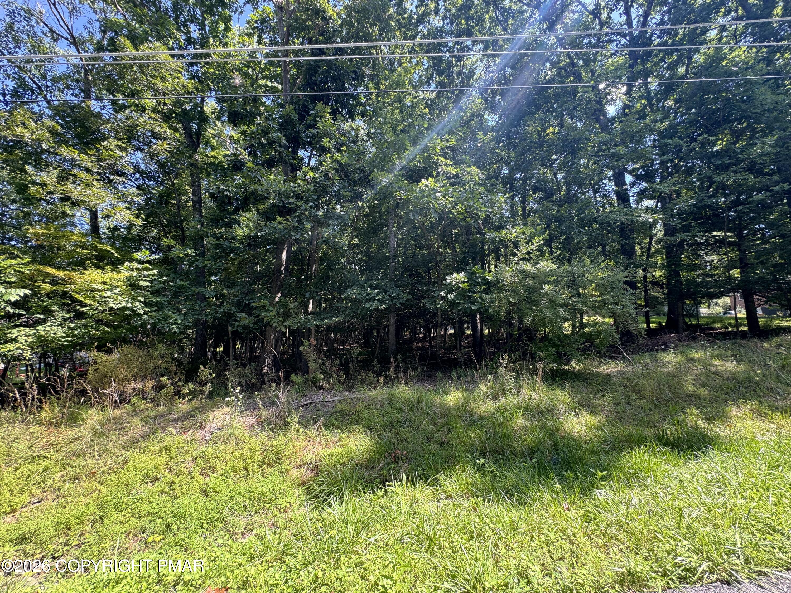O Donovan Dr 118 Drive Property Photo 5