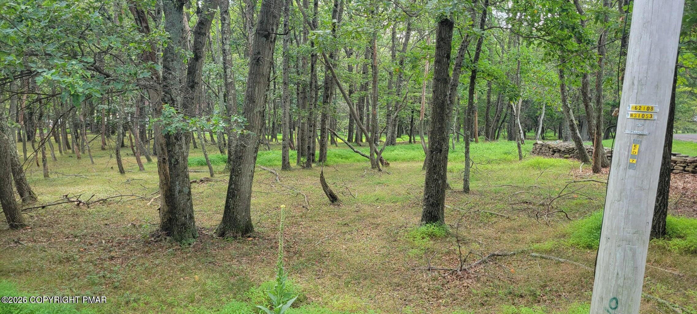 Chippewa 718 Trail Property Photo 2