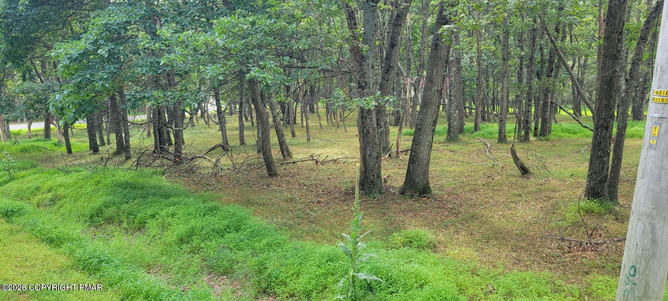 Chippewa 718 Trail Property Photo 3