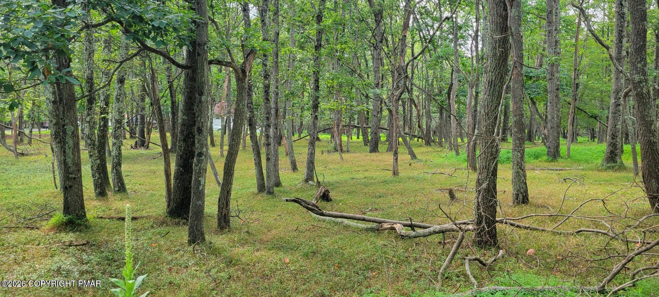 Chippewa 718 Trail Property Photo 4