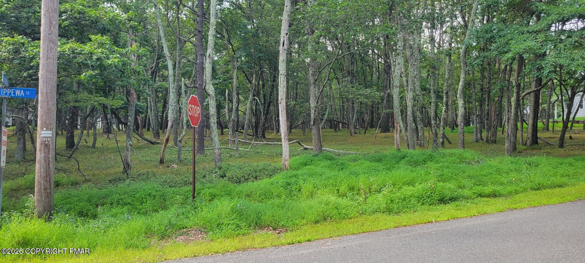 Chippewa 718 Trail Property Photo 5