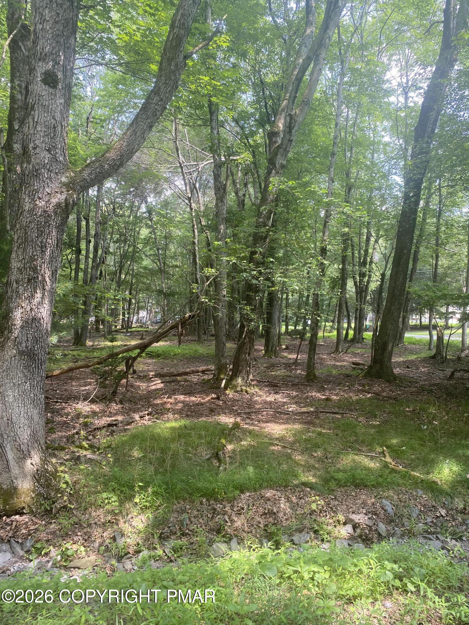 391 / Scenic Drive Property Photo 3