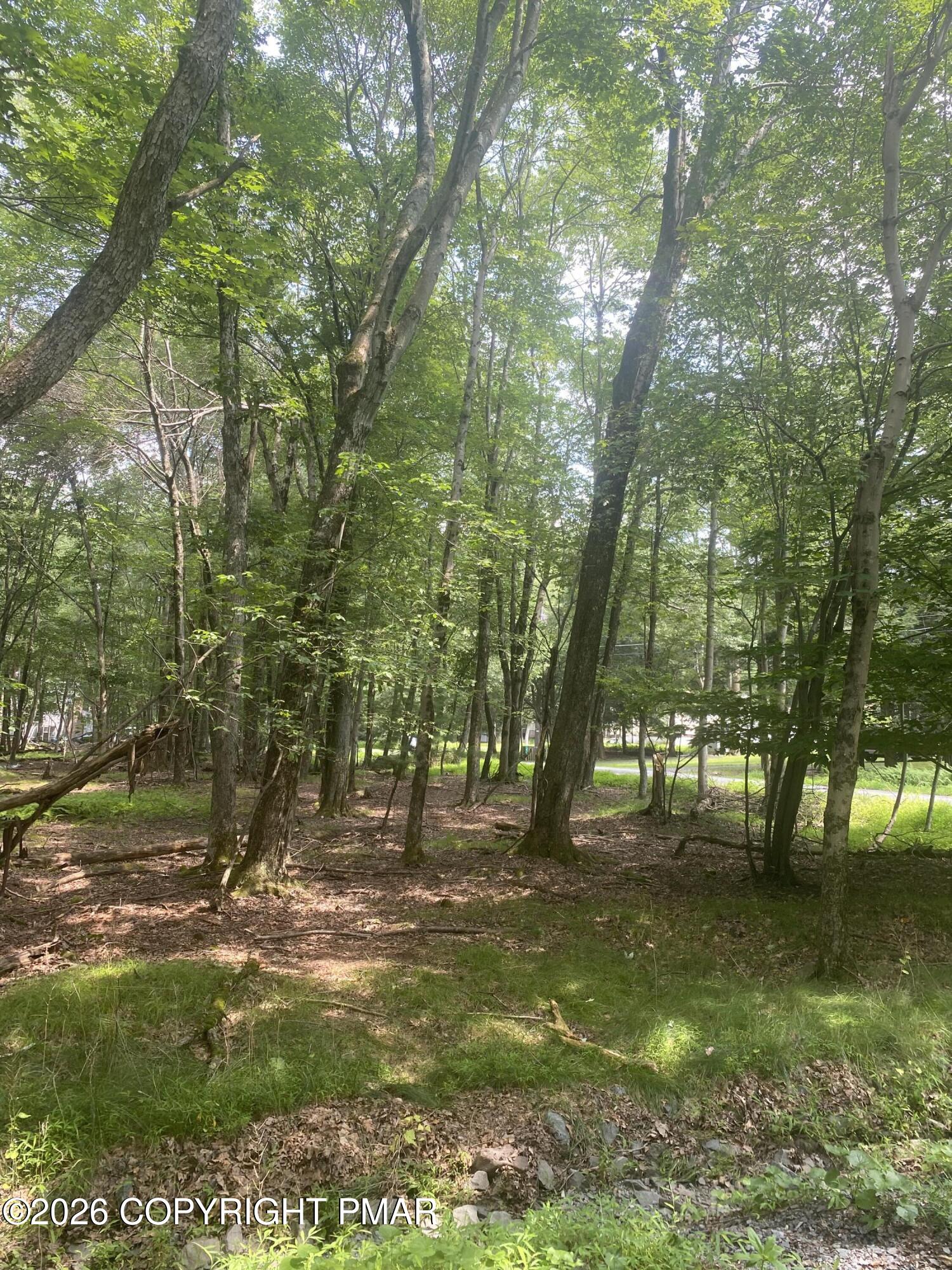 391 / Scenic Drive Property Photo 9