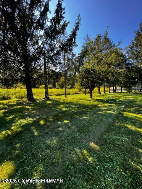 203 Center Road Property Photo 92