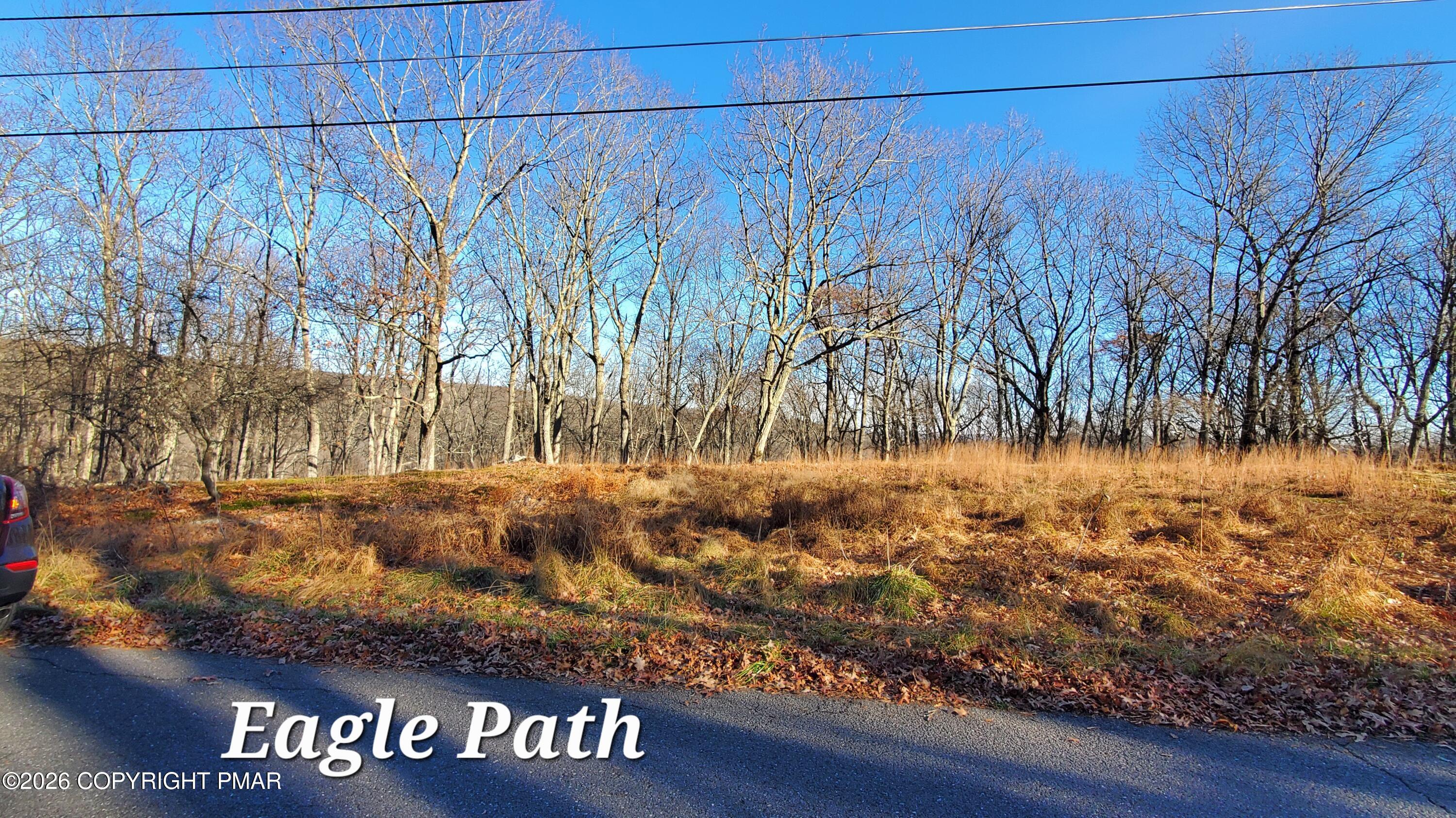 193 Lot Eagle Path Property Photo 1