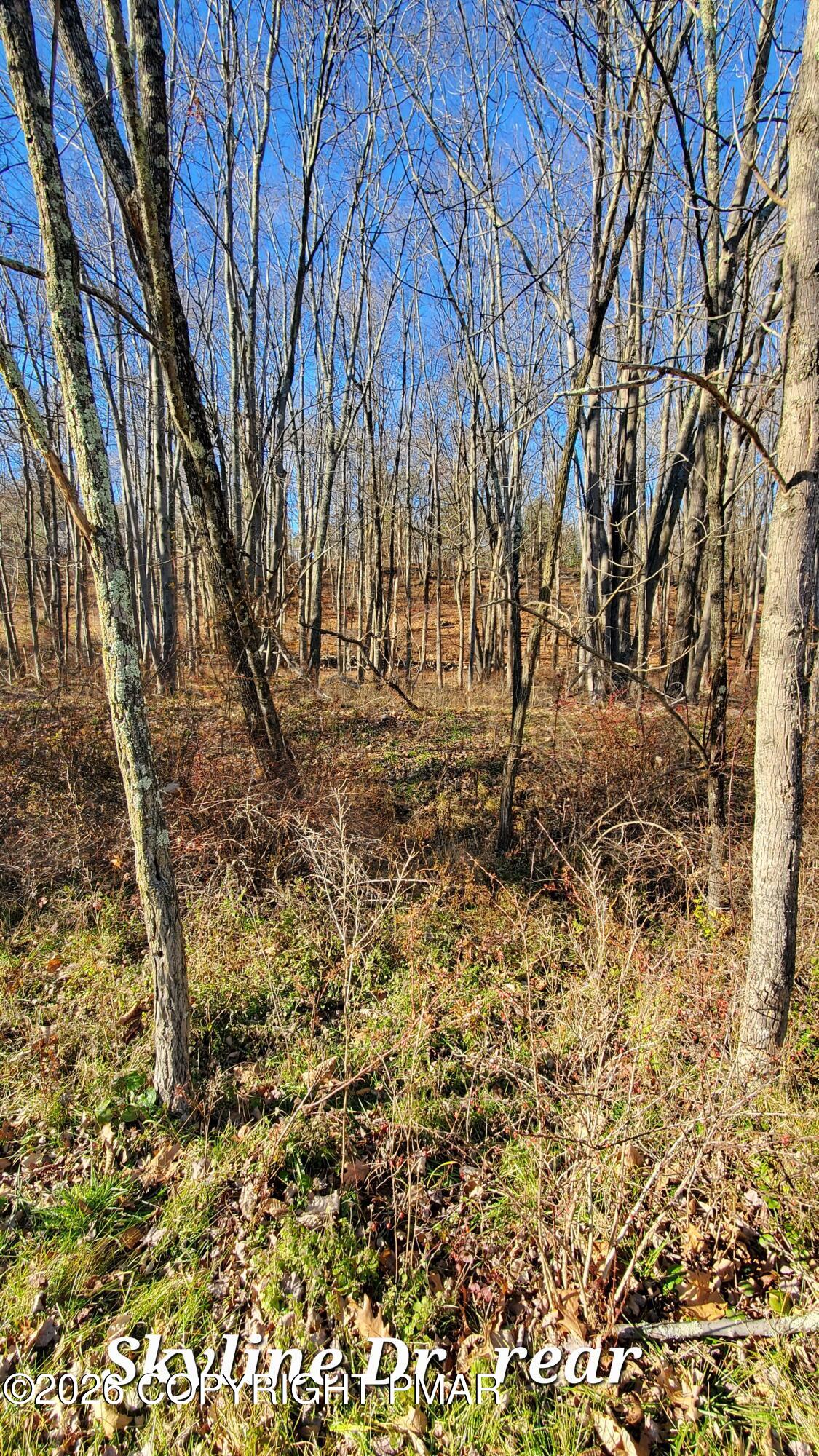 140a Skyline Drive Property Photo 2