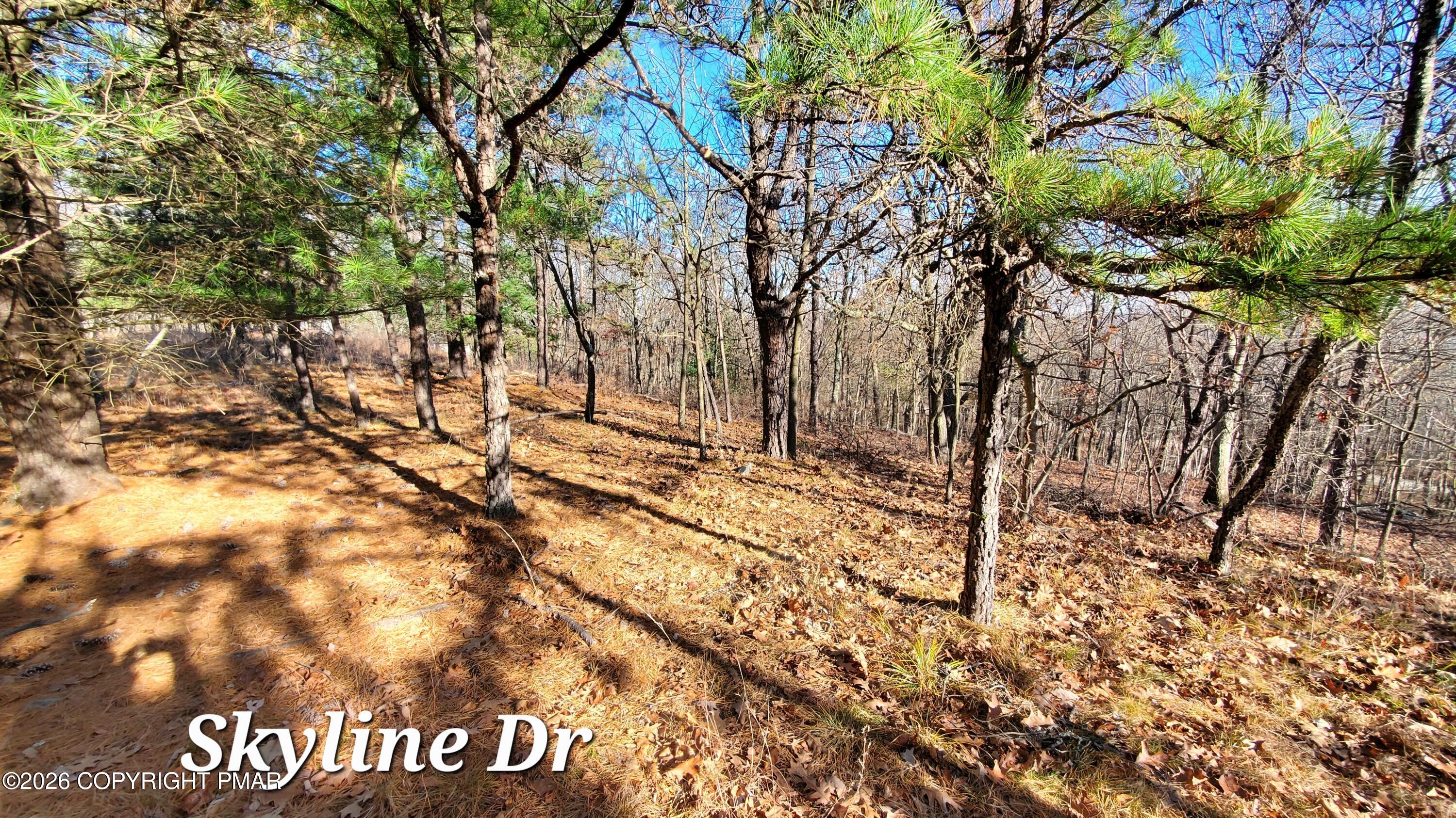 140a Skyline Drive Property Photo 3