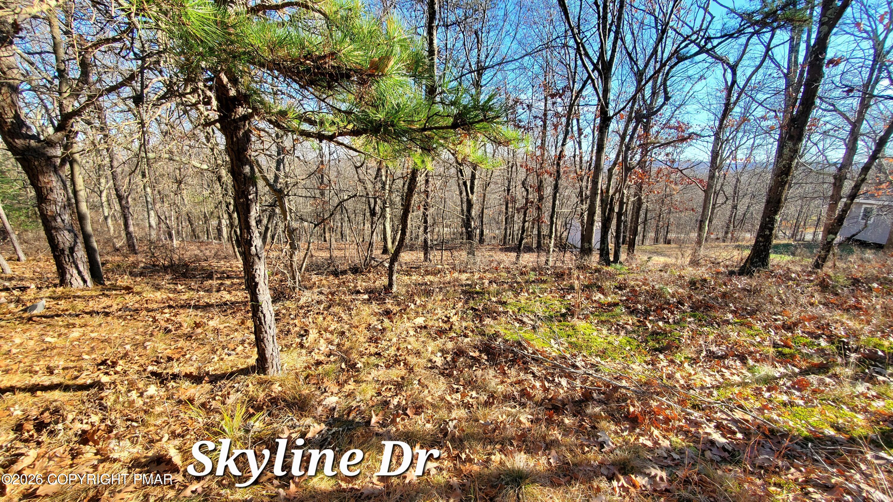 140a Skyline Drive Property Photo 4