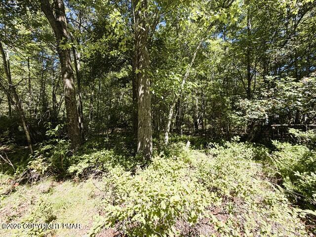 Dawn Dr 12, Dawn Drive Property Photo 3