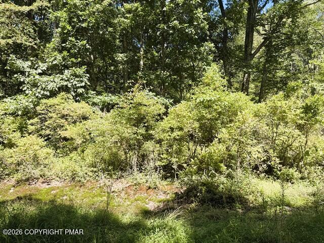 Dawn Dr 12, Dawn Drive Property Photo 6