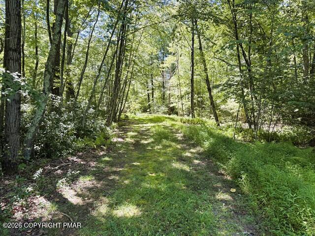 Dawn Dr 12, Dawn Drive Property Photo 7
