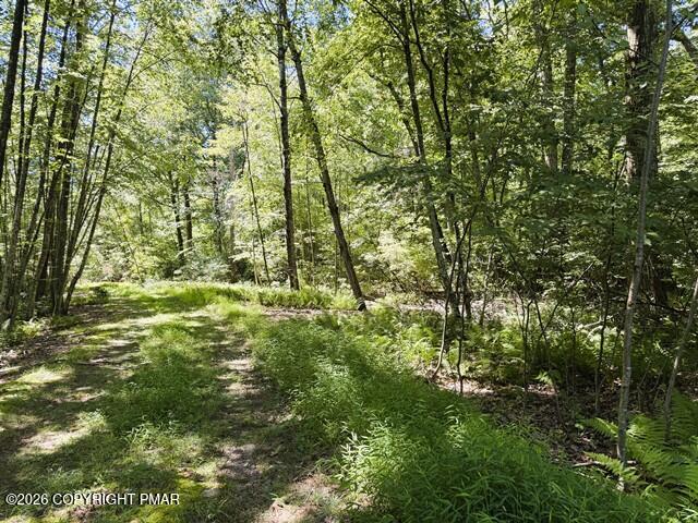 Dawn Dr 12, Dawn Drive Property Photo 8