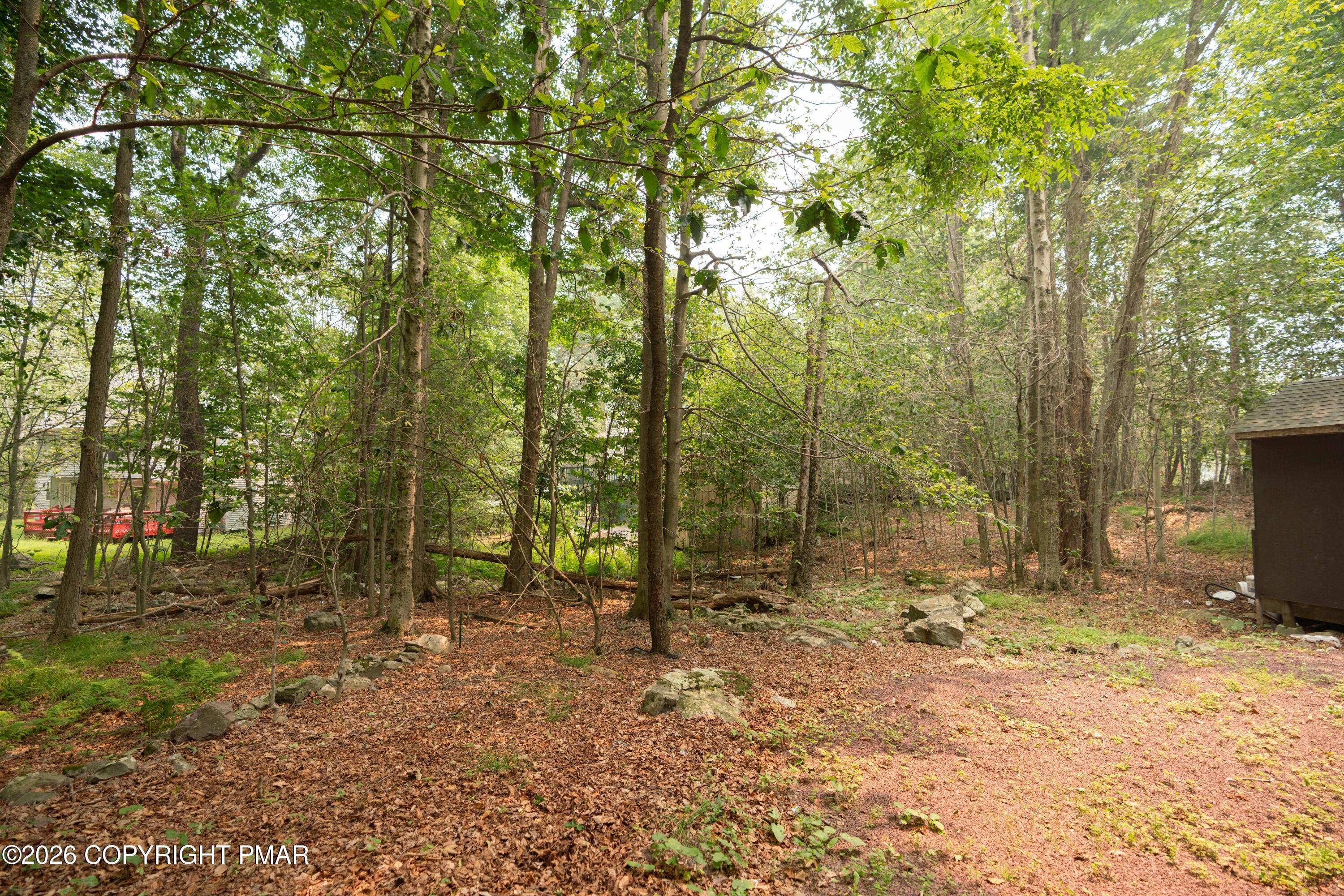 9688 Stony Hollow Drive Property Photo 28