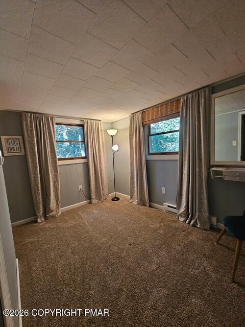 58 Woodland Road Property Photo 14