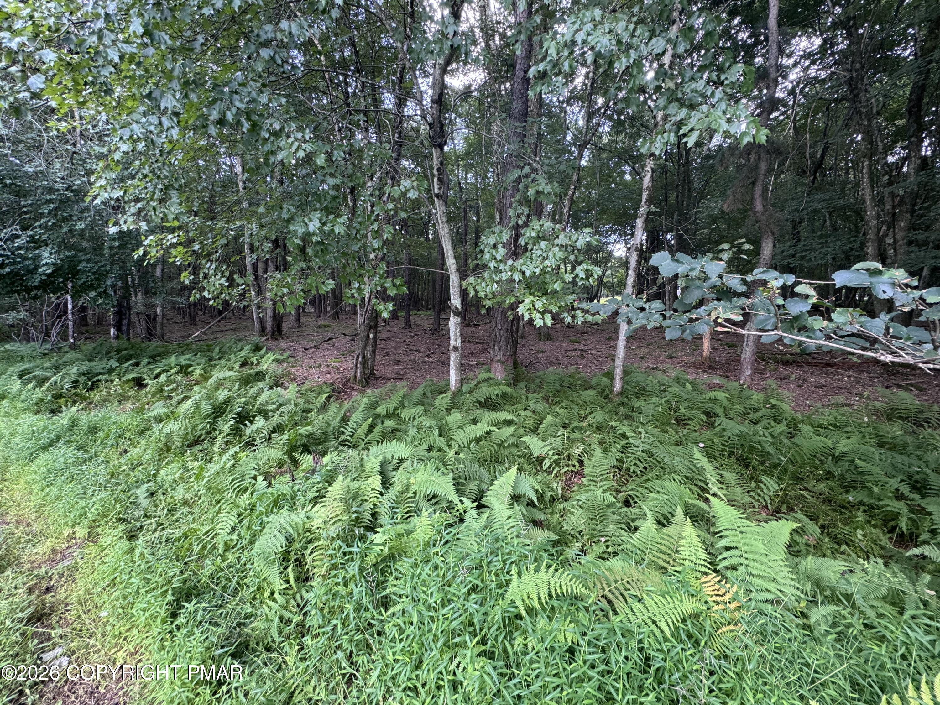 Ev484 Masters Trail Property Photo 2