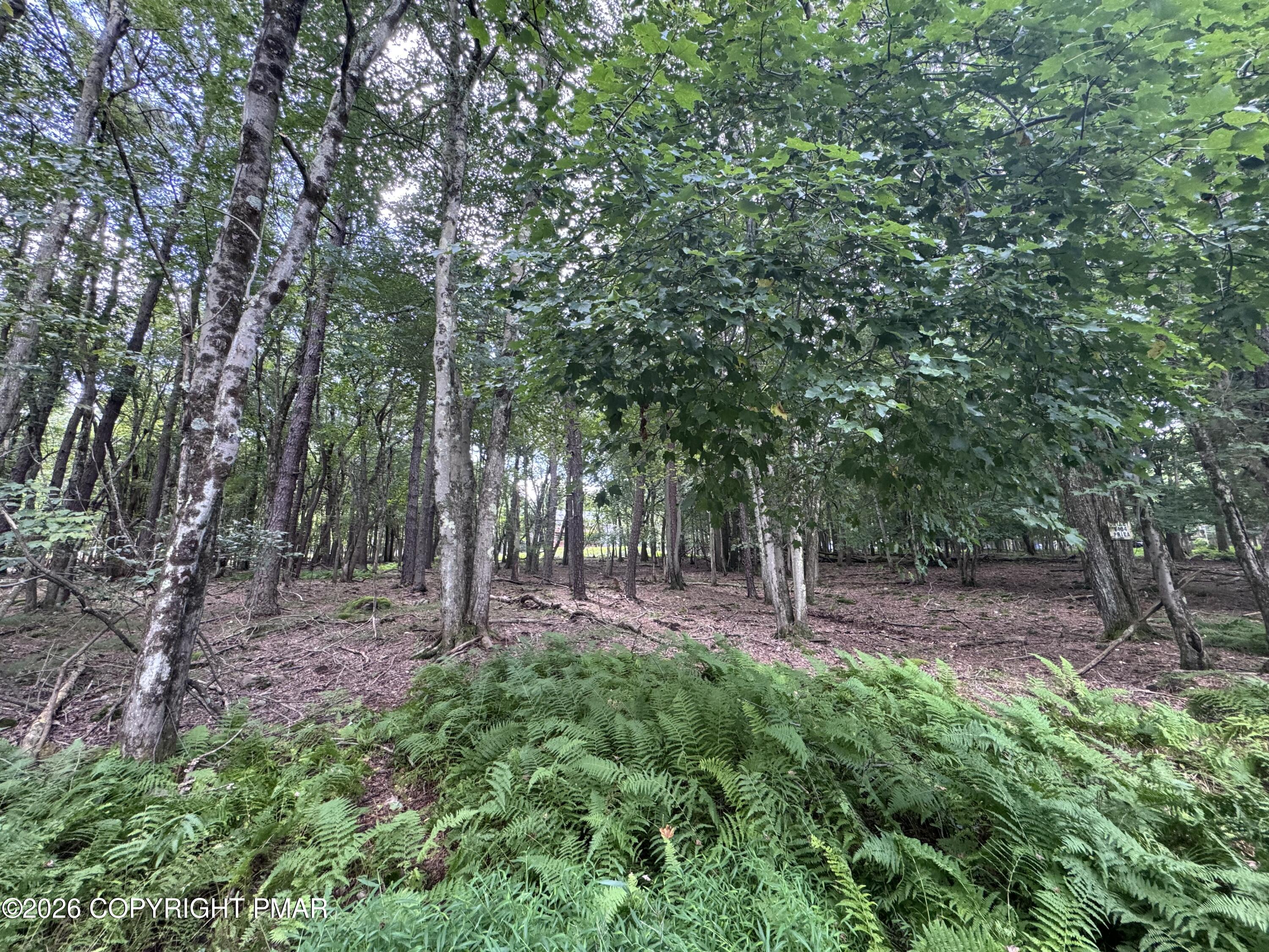 Ev484 Masters Trail Property Photo 3