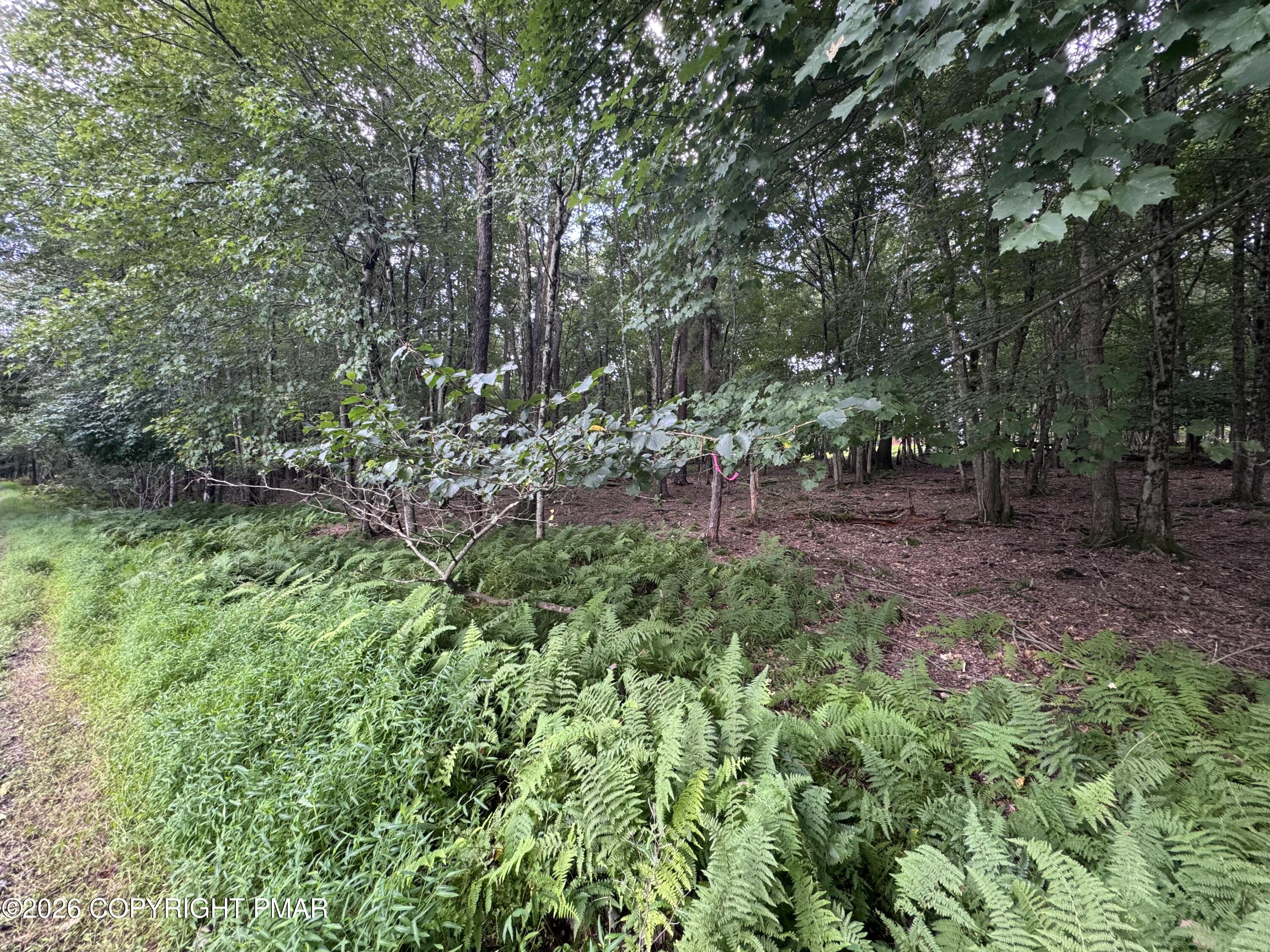 Ev484 Masters Trail Property Photo 4