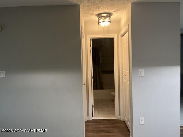 8465 Bumble Bee Way Property Photo 5
