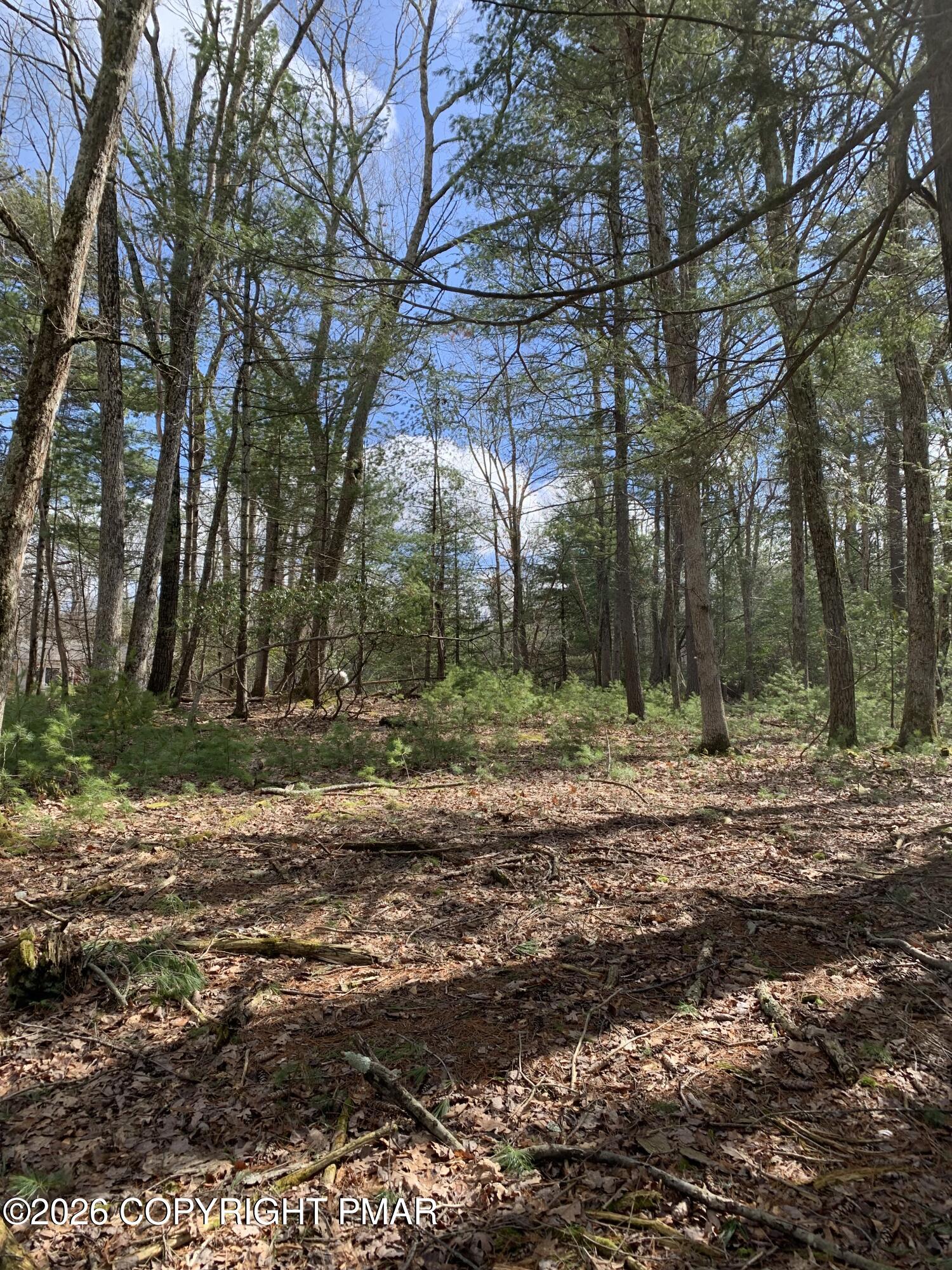 Tower Road, Lot 589 Sec 6 Property Photo 6