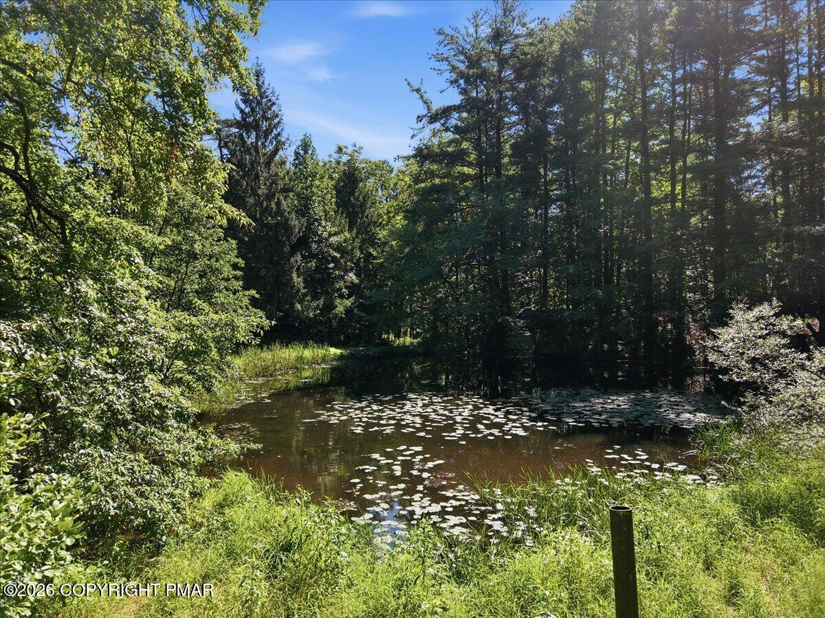 1408 Fox Gap Road Property Photo 33