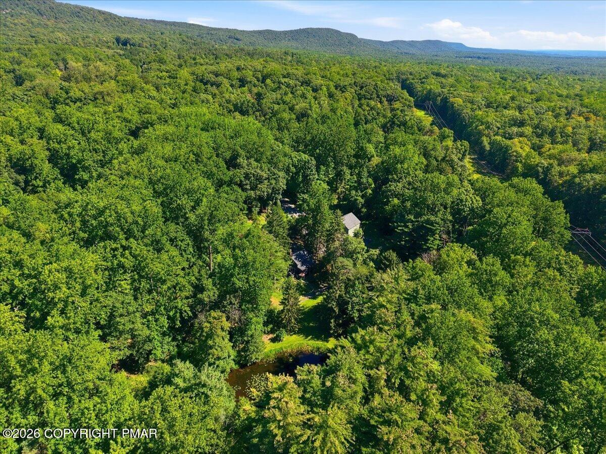 1408 Fox Gap Road Property Photo 49