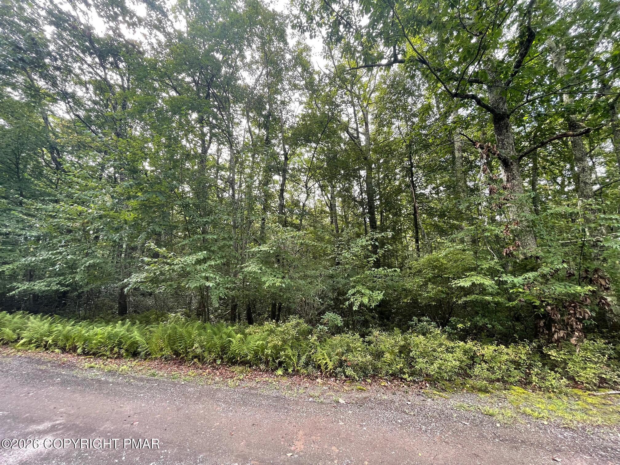 A392 Aspen Drive Property Photo 3