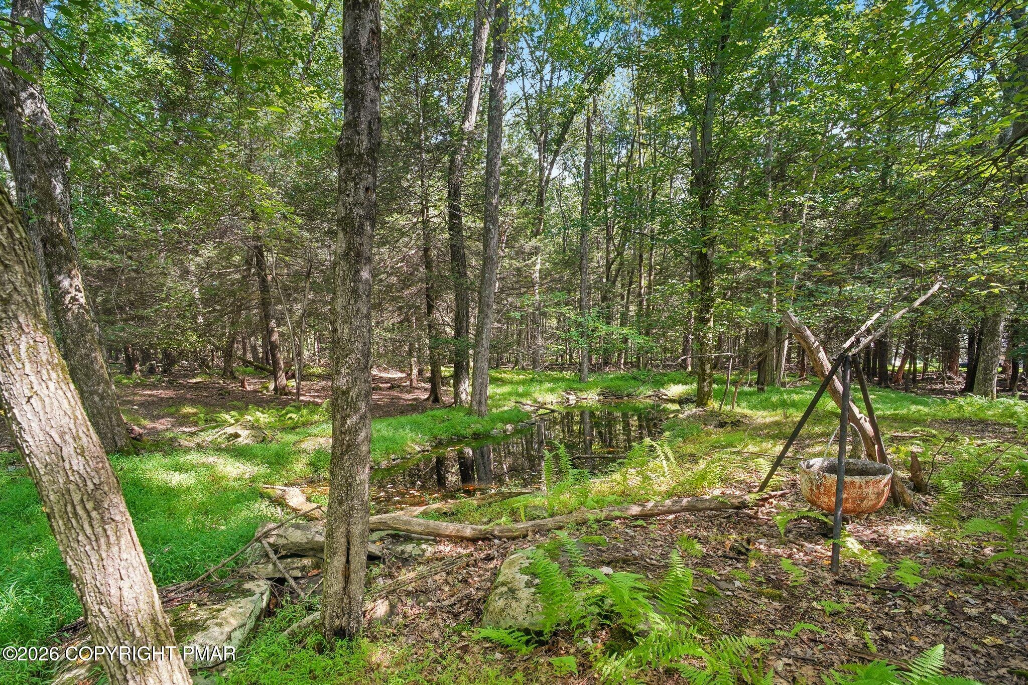 108 Case Lane Property Photo 45
