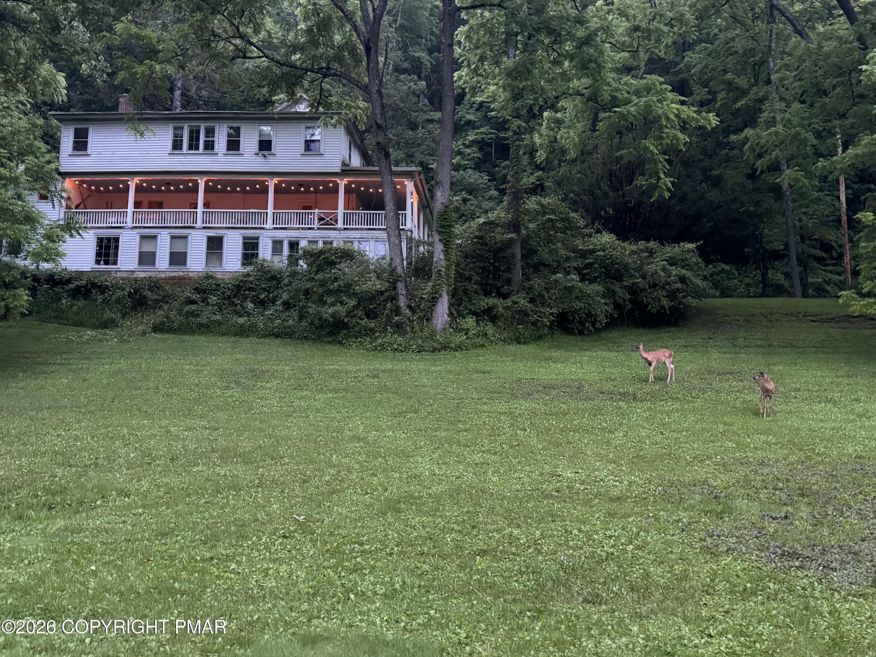 694 River Road Property Photo 97