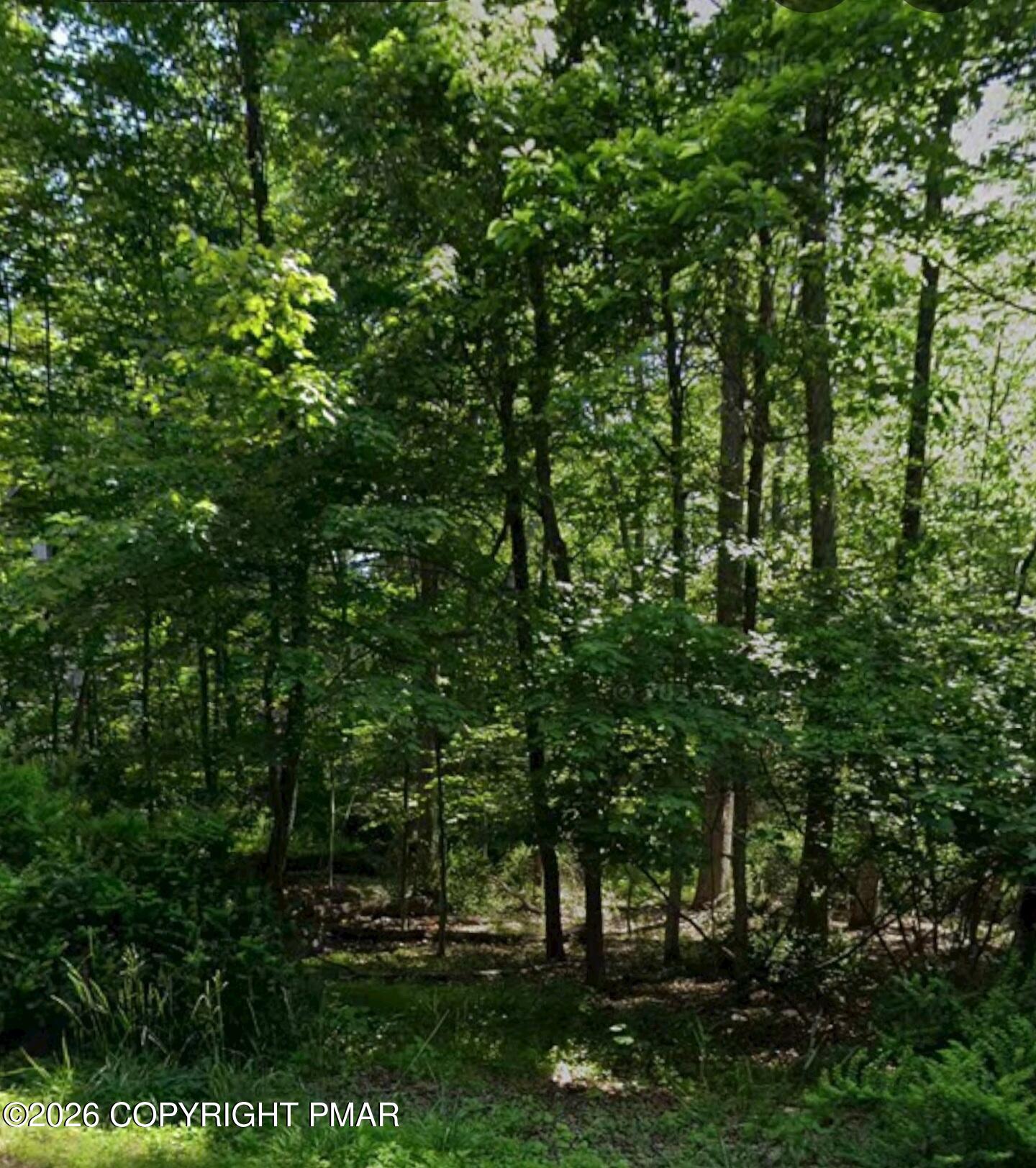 Lot 132 Timber Hill Road Property Photo 3