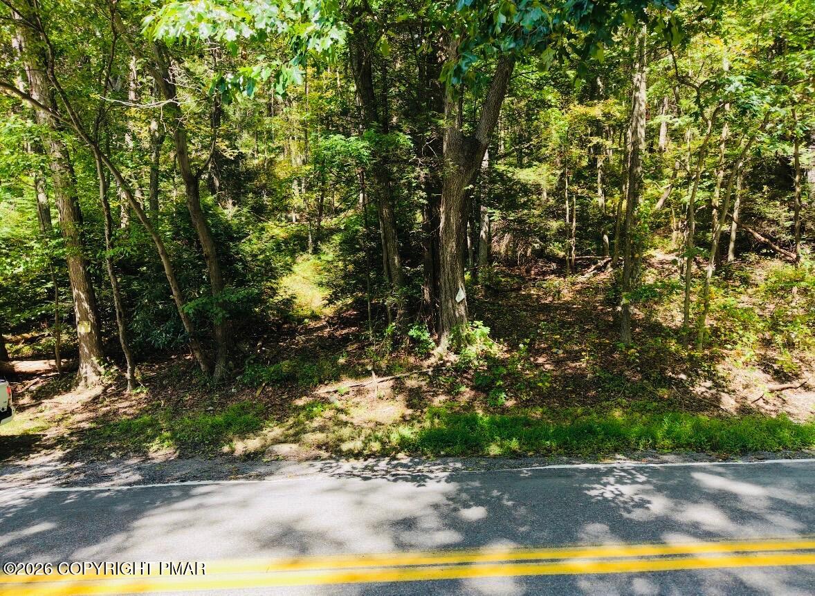 123 Forest Drive Property Photo 3