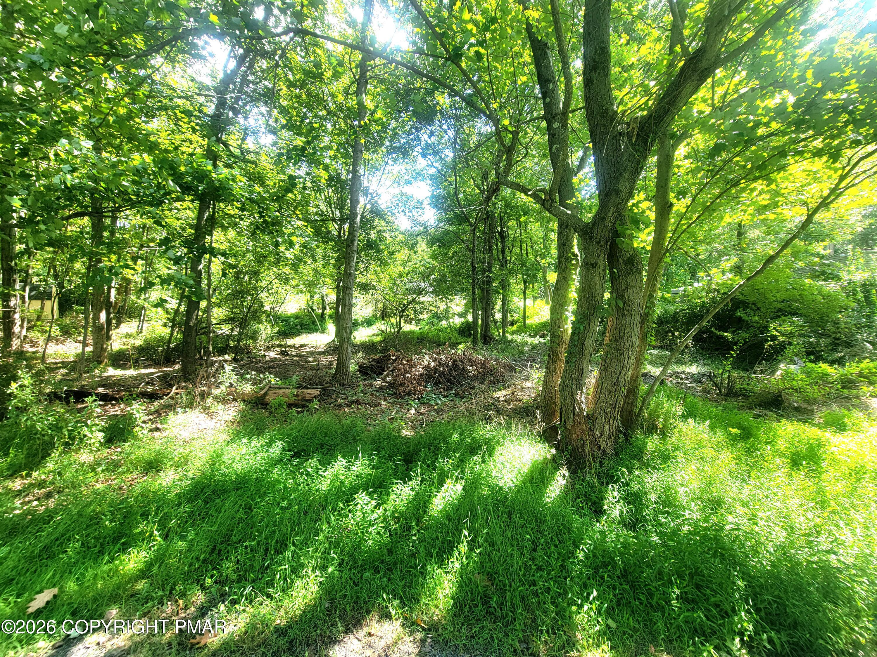 291/ #7743 Lake Road Property Photo 2