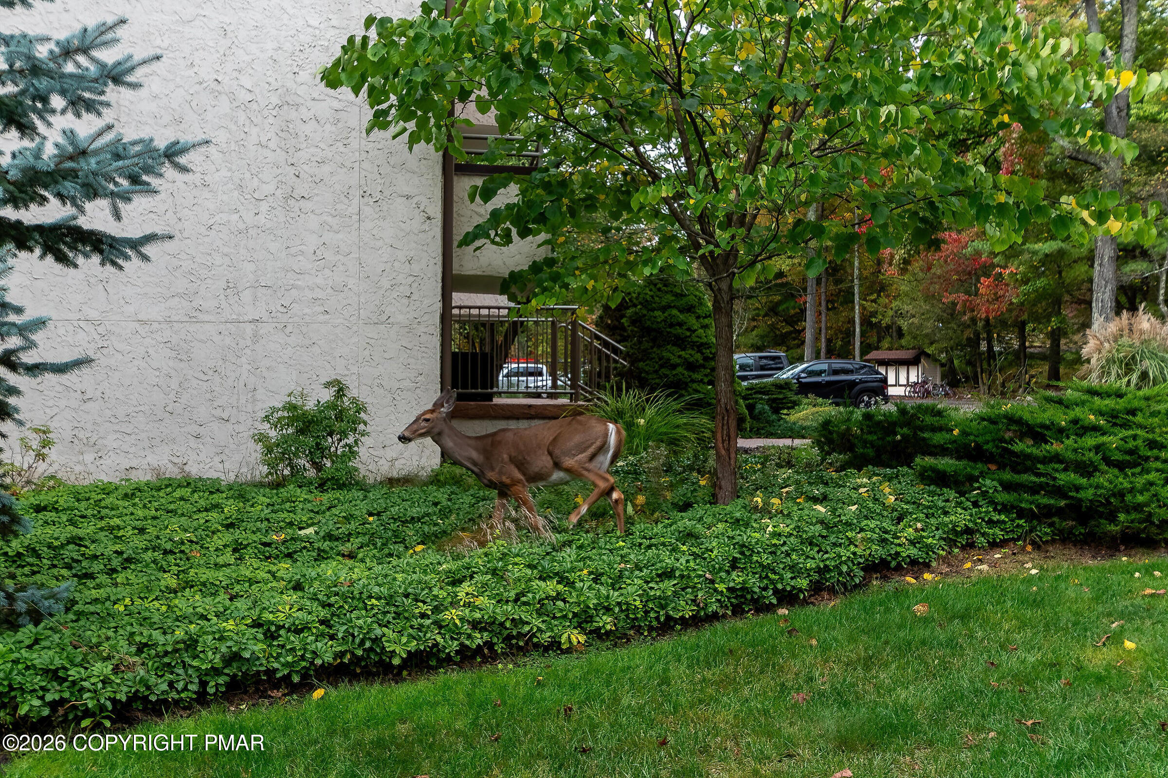 5 Midlake Drive # 301 Property Photo 10