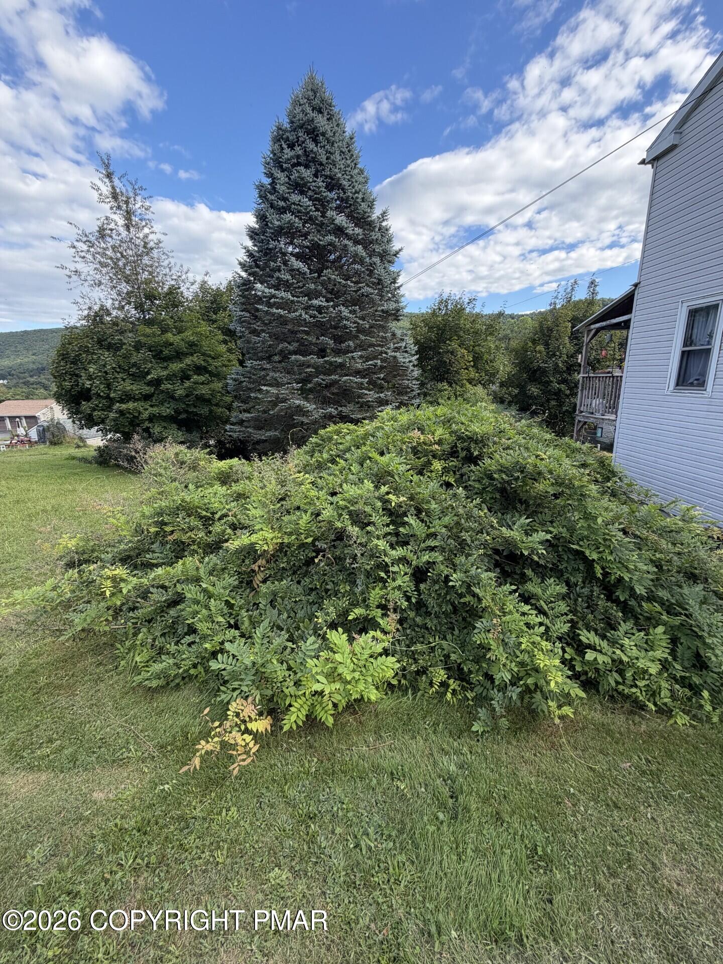 17 E Mussmano Avenue Property Photo 7