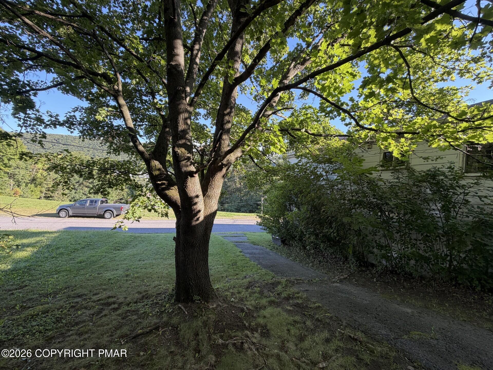 17 E Mussmano Avenue Property Photo 35