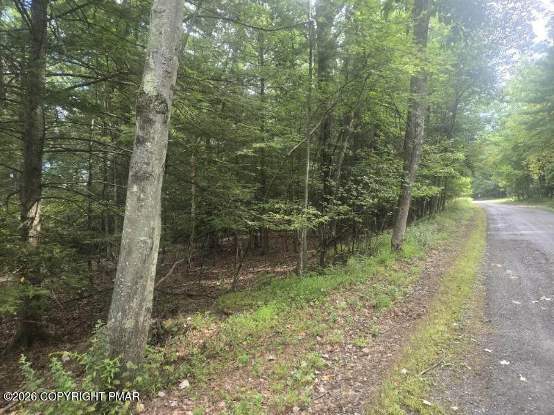 Turkey Ridge Dr 18 Property Photo 1