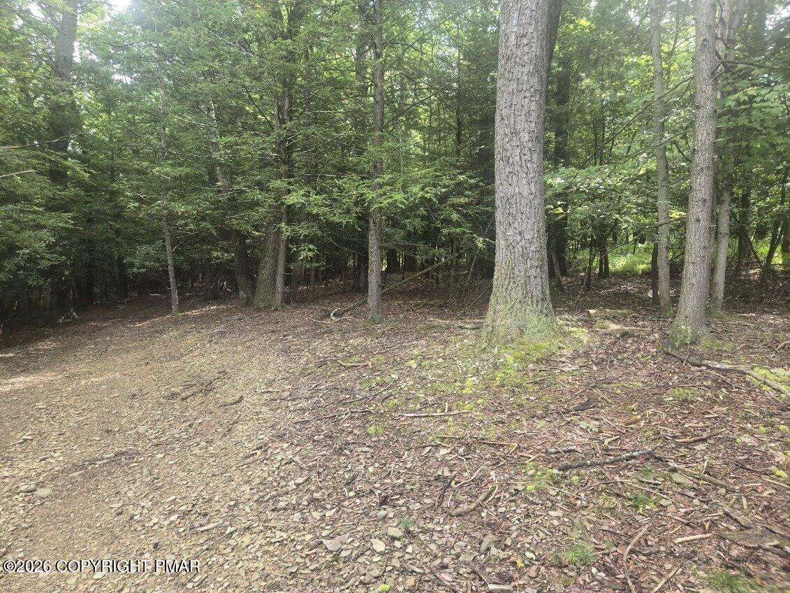 Turkey Ridge Dr 18 Property Photo 2