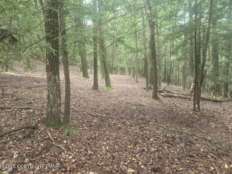 Turkey Ridge Dr 18 Property Photo 3