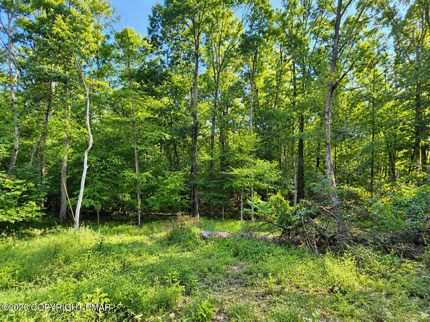 Cottontail Lane Lot#34 Property Photo 1