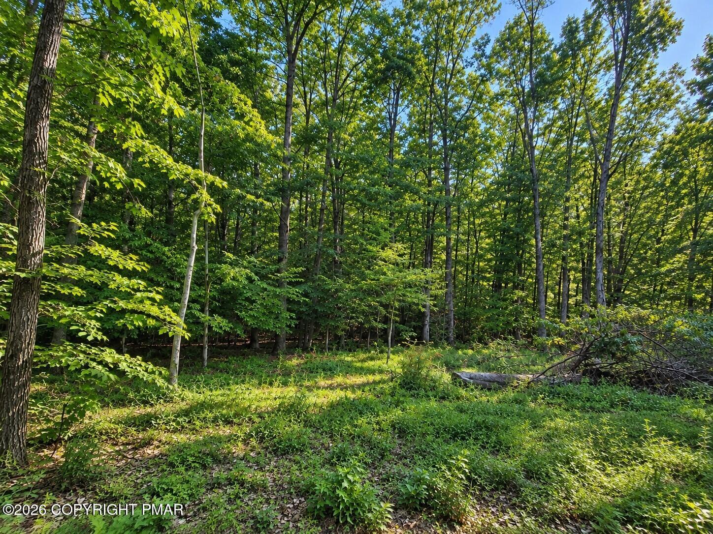Cottontail Lane Lot#34 Property Photo 2