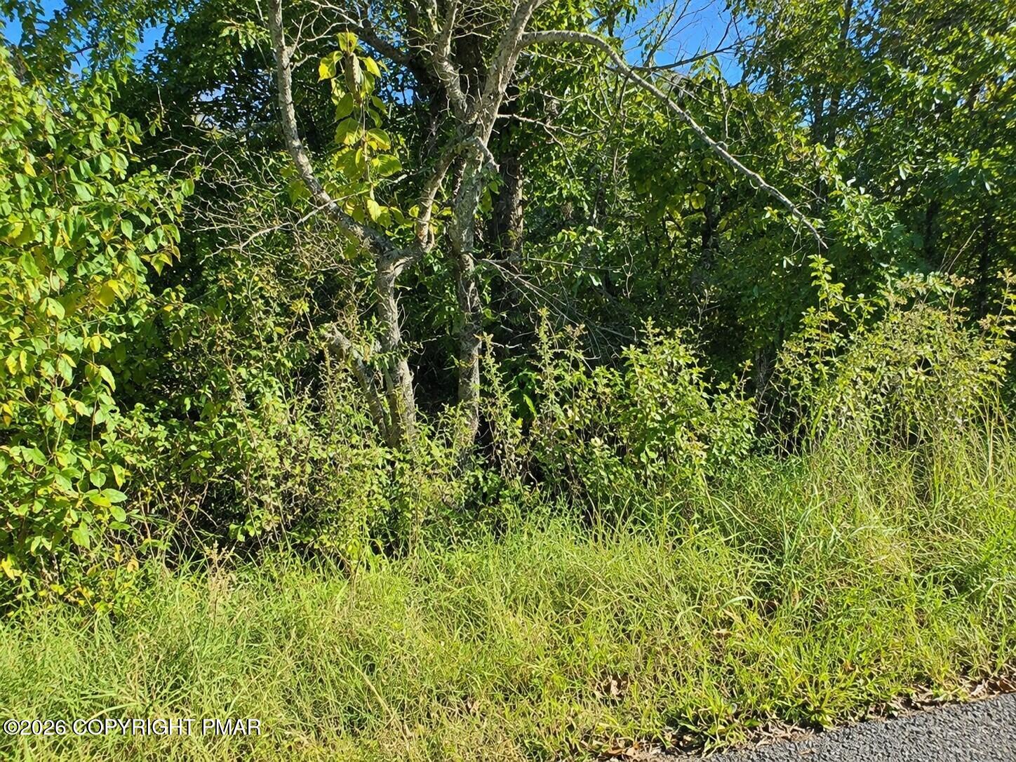 Turkey Foot Trl 35 Property Photo 1