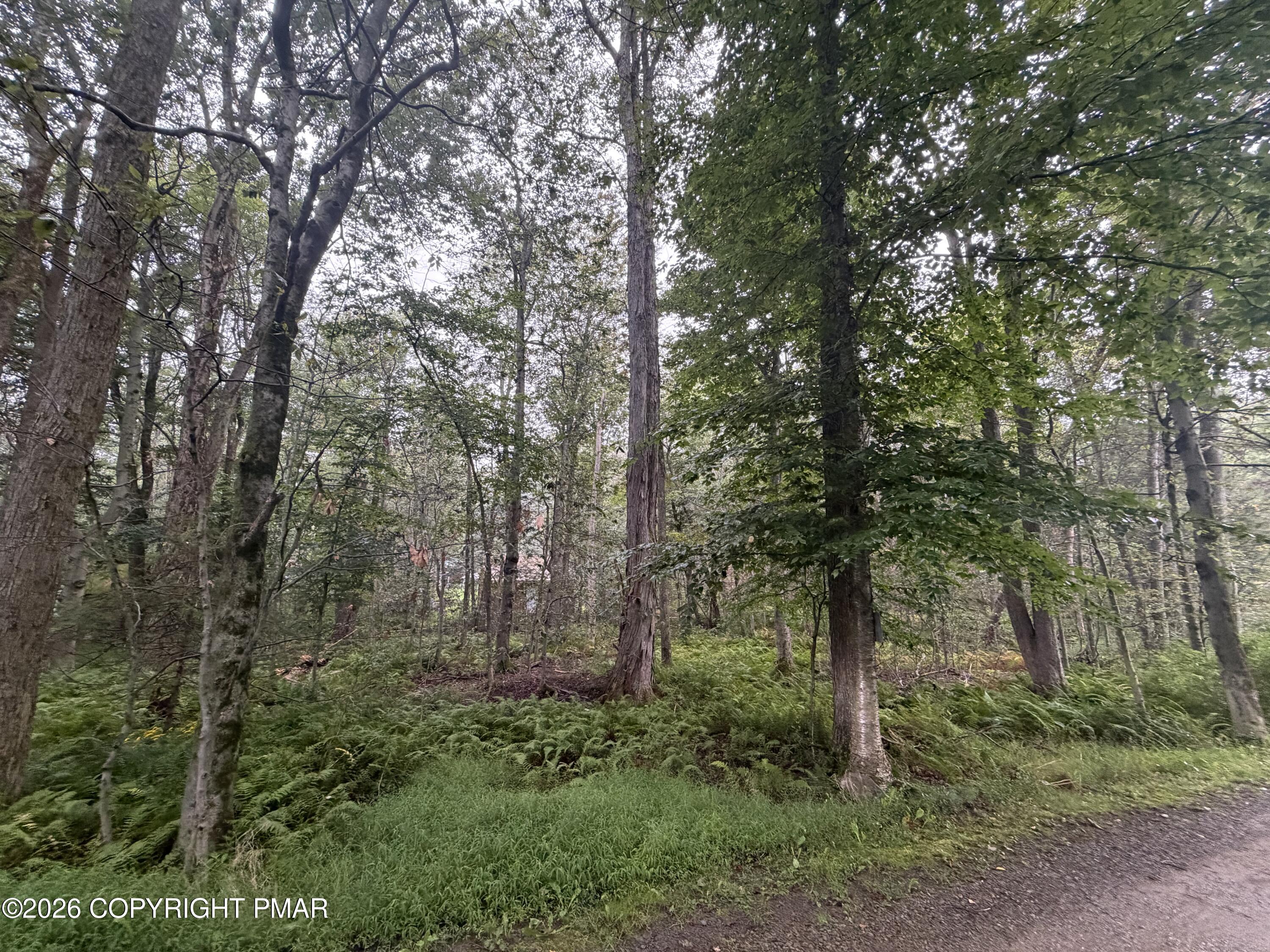 E/114-118 Bent Bow Path Property Photo 3