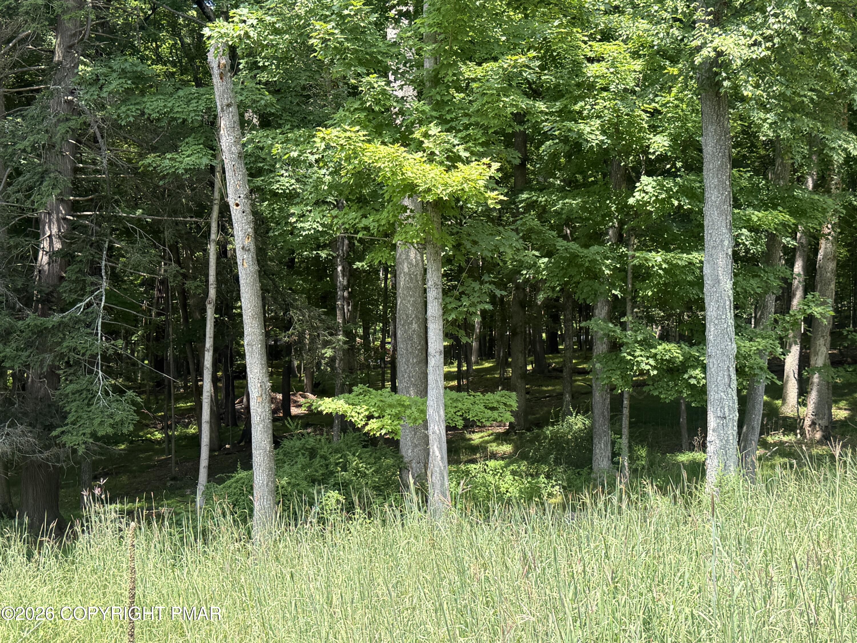 Lot 325 Milford Road Property Photo 1