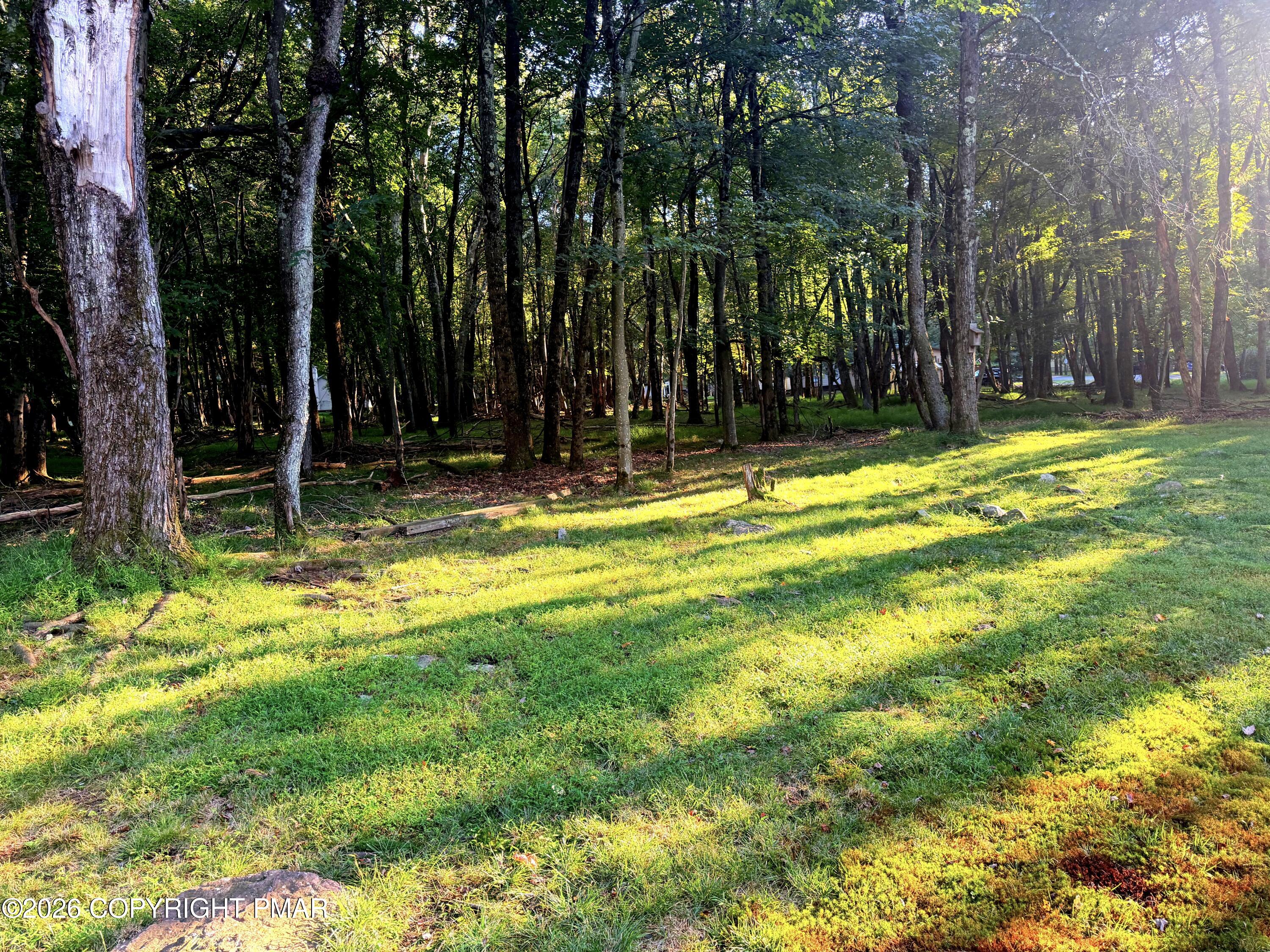 76 Woodland Road Property Photo 20