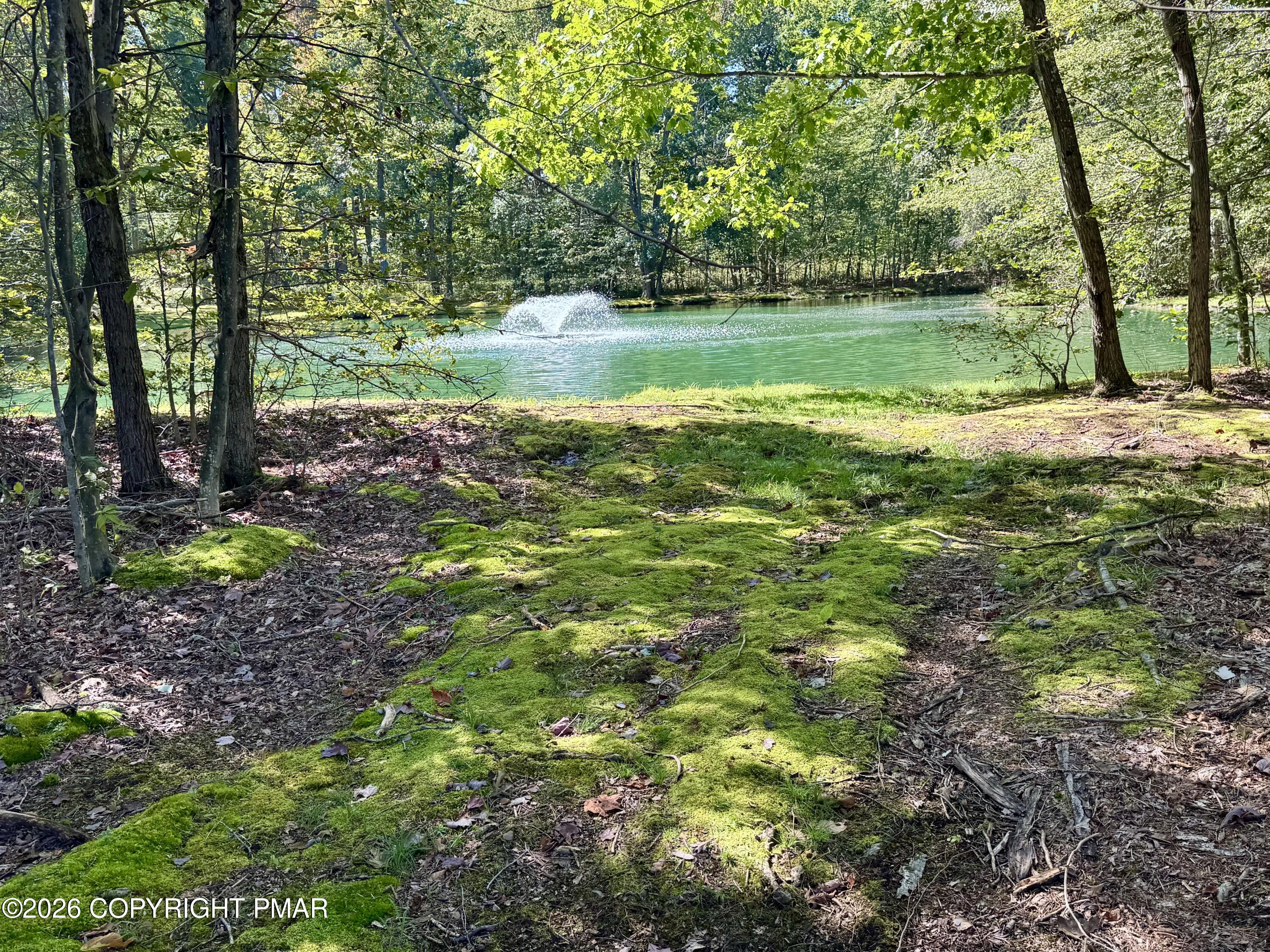 23 Snow Shoe Property Photo 3
