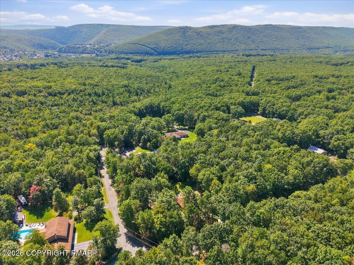 509 Lehigh Gorge Drive Property Photo 41