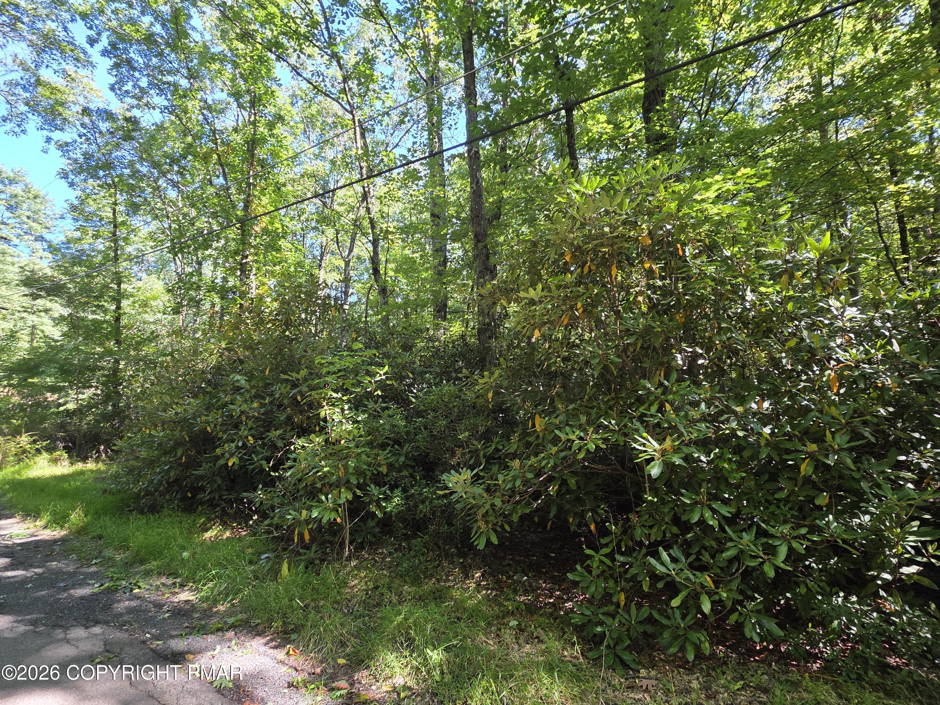 Cameron Rd 285 Road Property Photo 1